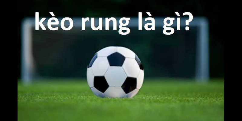 Tham gia cược kèo rung, nên hay không nên?